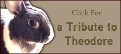 Theo Tribute